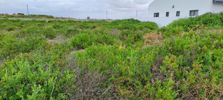 3 Bedroom Property for Sale in Laaiplek Western Cape